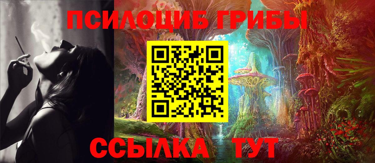 где купить наркотик  Псилоцибиновые грибы мухоморы  Вход с VPN  Мегион  Галлюциногенные грибы ЛСД 