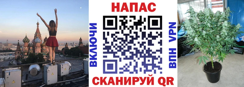Шишки марихуана сатива Мегион